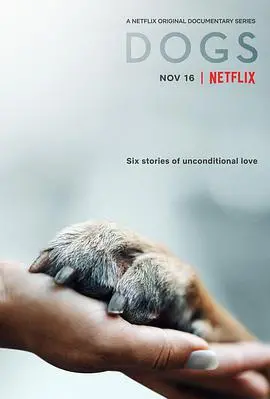 《爱犬情深》：忠诚与背叛的纠葛，让人又爱又恨的宠物剧！