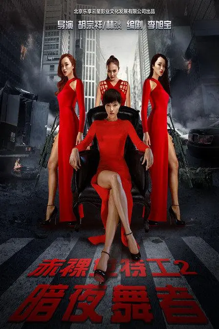 《媚影女特工2暗夜舞者》：女人不好惹，尤其是在黑色产业链里的舞者！
