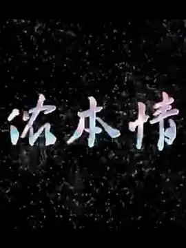 《侬本情》：看完让人《一见倾心》的经典，这深情，你顶得住吗？