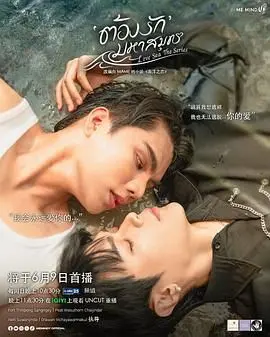 《海洋之恋》：犯罪剧的“甜宠”外衣？剧情注水，只剩‘借口Go’！