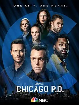 《芝加哥警署9》：硬汉柔情，警徽下的天籁之音，这季有啥不一样？